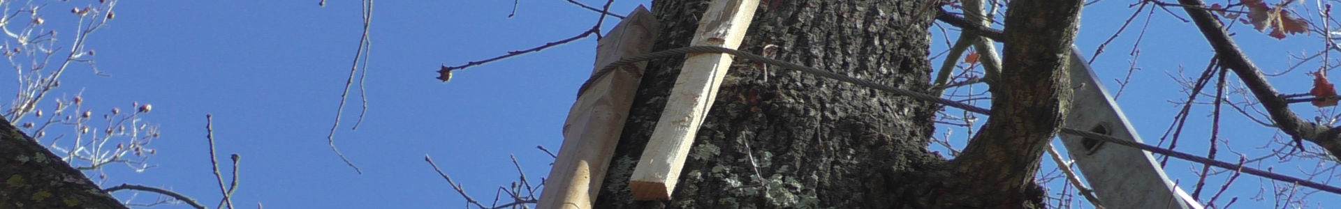 Photo qui montre L'installation du cable de la tyrolienne... | Cliquer pour agrandir