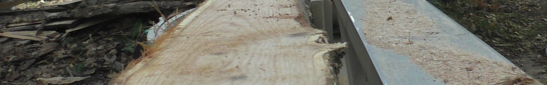 Équarrissage sur une bille de chataignier | Cliquer pour agrandir Photo qui montre un Équarrissage sur une bille de chataignier | Cliquer pour agrandir