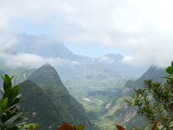 Photo de Diore à l'île de La Réunion