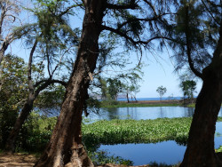 Photo de l'étang de Saint-Paul à l'île de La Réunion