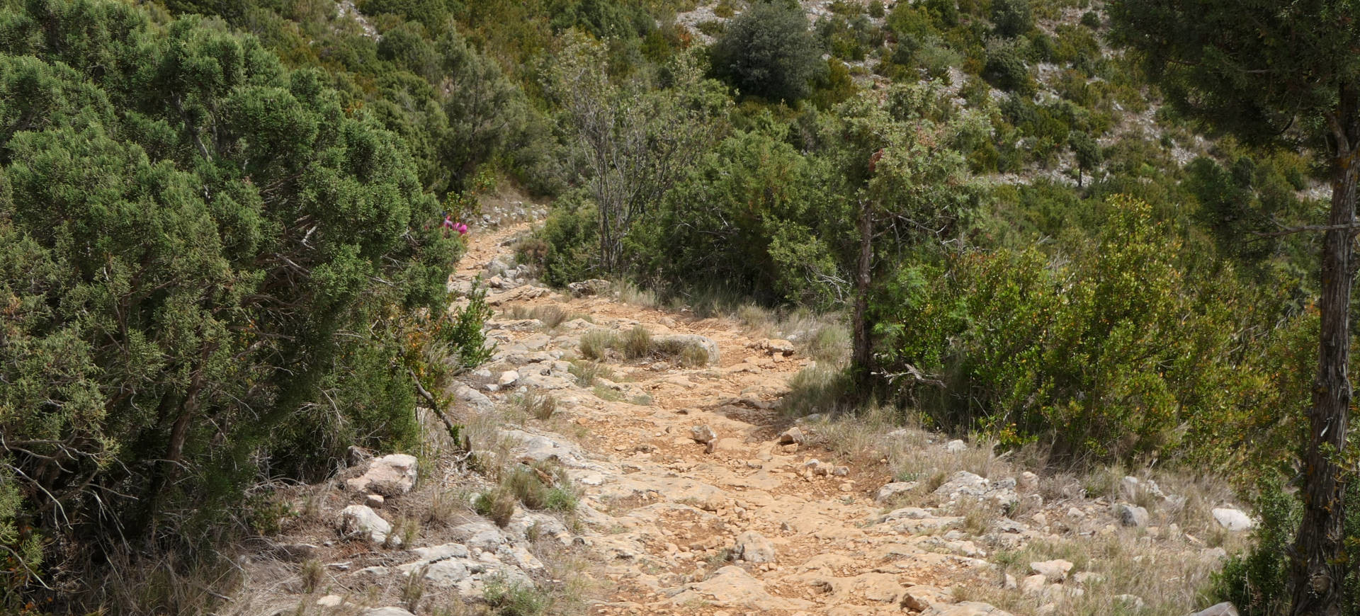 Un sentier difficile, mille occasions de tomber en Aragon | Cliquer pour agrandir Un sentier difficile, mille occasions de tomber en Aragon | Cliquer pour agrandir