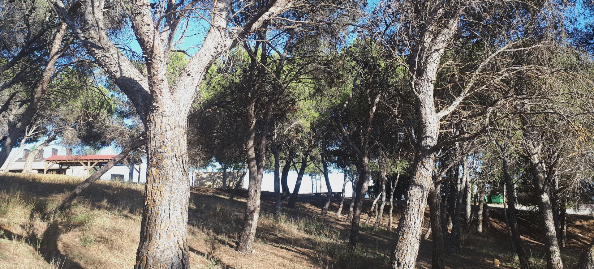 L'aire de pique-nique ombragée. | Cliquer pour agrandir Photo sur le désert prise depuis l'aire de pique-nique ombragée. | Cliquer pour agrandir