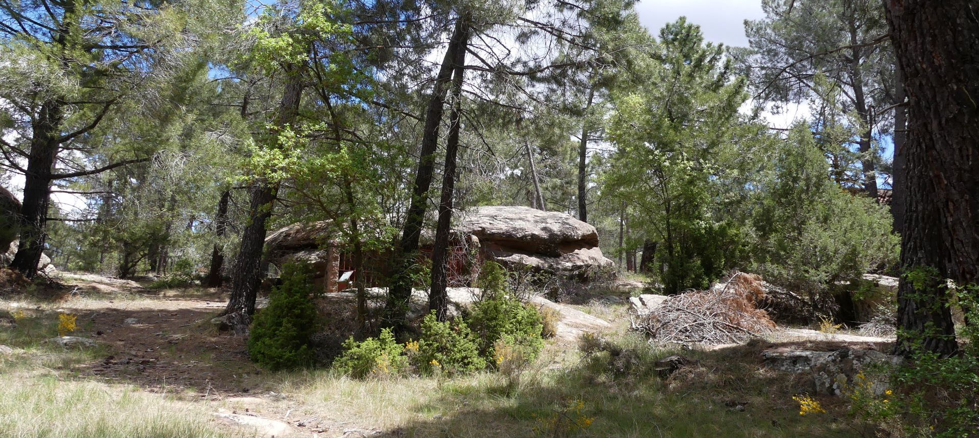 Pinède, Albarracin, Aragon, Espagne. | Cliquer pour agrandir Photo qui montre la Pinède, Albarracin, Aragon, Espagne. | Cliquer pour agrandir