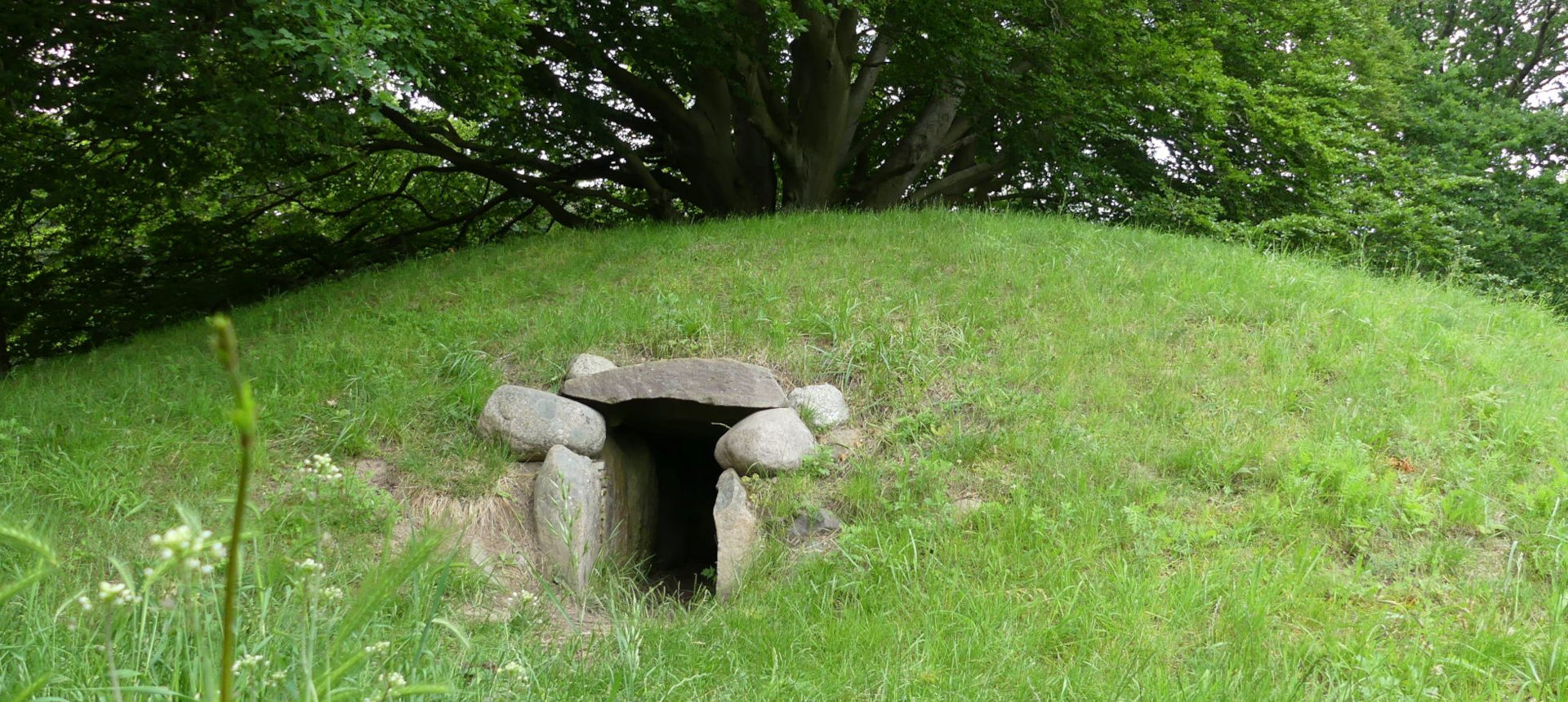 Tumulus sur le site de Stortensgrave vieux de 5 000 ans | Cliquer pour agrandir Photo qui montre le Tumulus sur le site de Stortensgrave vieux de 5 000 ans | Cliquer pour agrandir