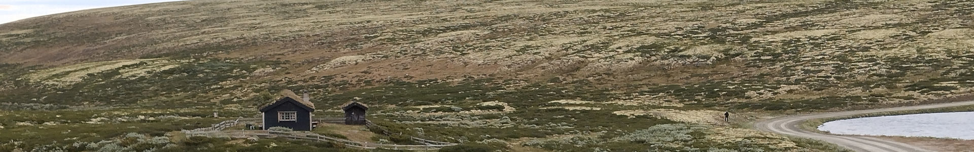 La Norvège sauvage du parc de Rondane | Cliquer pour agrandir Photo qui montre La Norvège sauvage du parc de Rondane | Cliquer pour agrandir